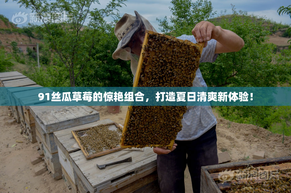 91丝瓜草莓的惊艳组合，打造夏日清爽新体验！