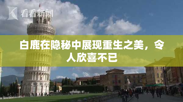 白鹿在隐秘中展现重生之美，令人欣喜不已