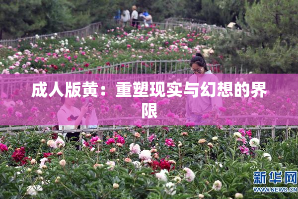 成人版黄：重塑现实与幻想的界限