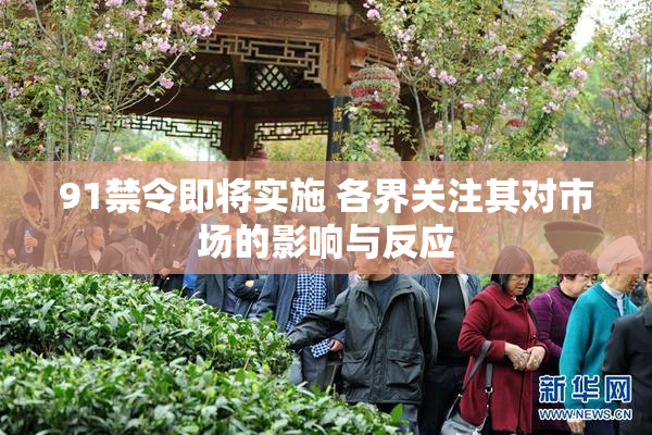 91禁令即将实施 各界关注其对市场的影响与反应