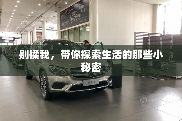 别揉我，带你探索生活的那些小秘密