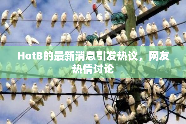 HotB的最新消息引发热议，网友热情讨论