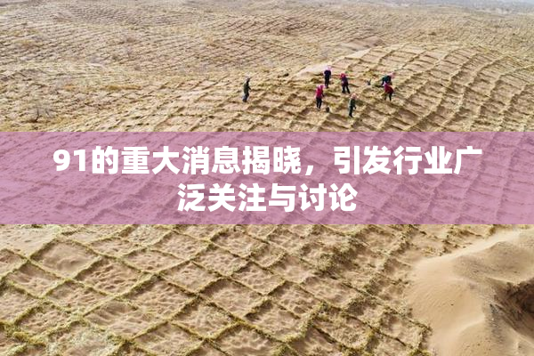 91的重大消息揭晓，引发行业广泛关注与讨论
