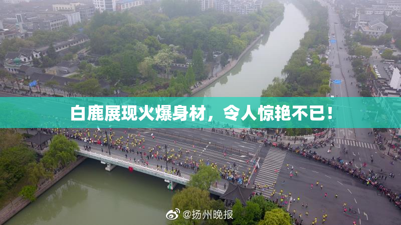 白鹿展现火爆身材，令人惊艳不已！
