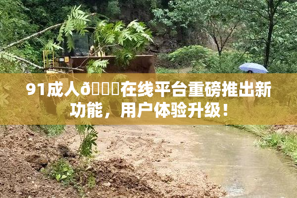 91成人🔞在线平台重磅推出新功能，用户体验升级！