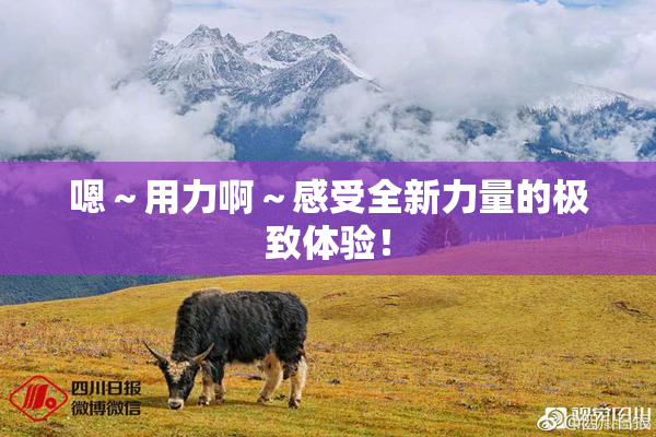 嗯～用力啊～感受全新力量的极致体验！