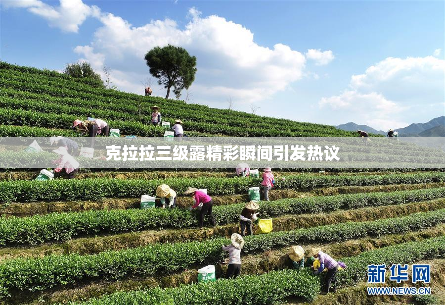 克拉拉三级露精彩瞬间引发热议