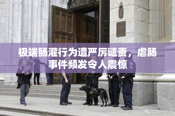 极端肠灌行为遭严厉谴责，虐肠事件频发令人震惊