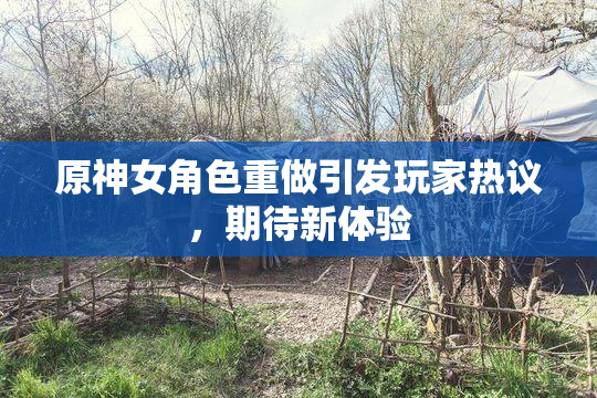 原神女角色重做引发玩家热议，期待新体验