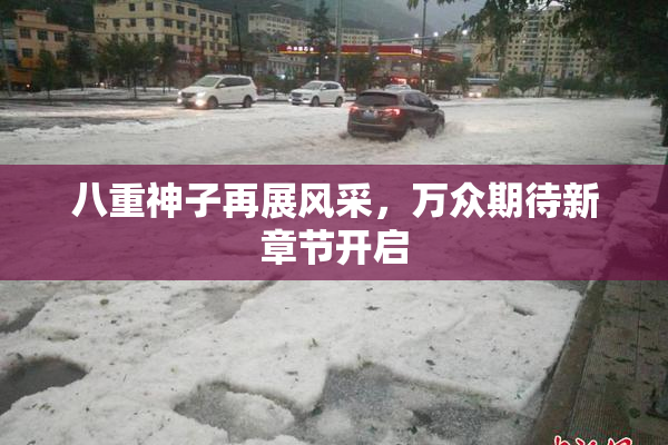 八重神子再展风采，万众期待新章节开启