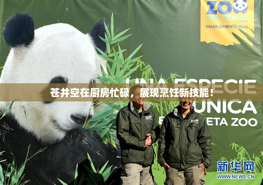 苍井空在厨房忙碌，展现烹饪新技能！
