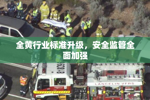 全黄行业标准升级，安全监管全面加强