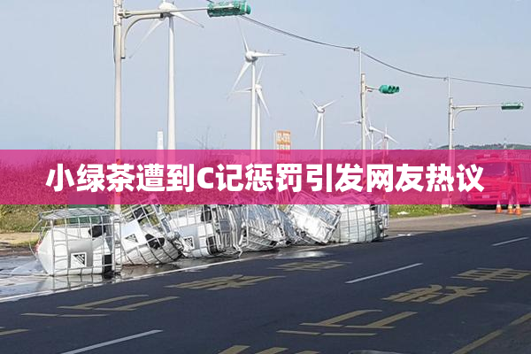 小绿茶遭到C记惩罚引发网友热议