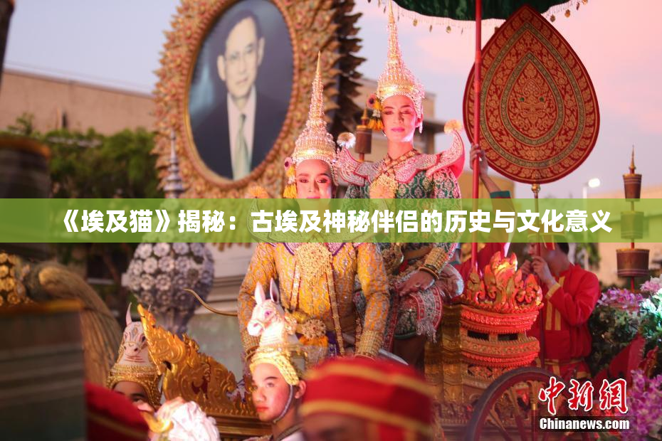 《埃及猫》揭秘：古埃及神秘伴侣的历史与文化意义