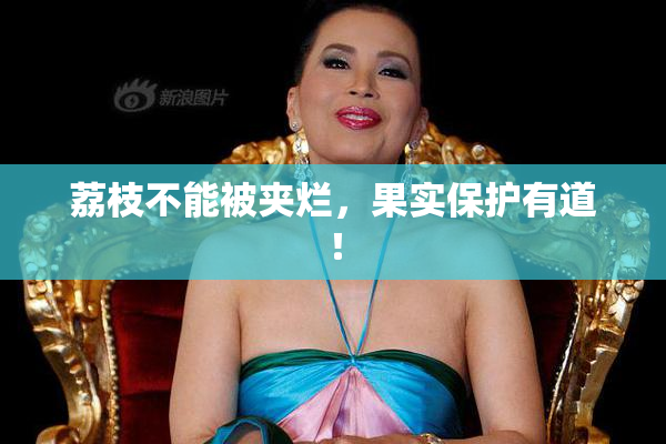 荔枝不能被夹烂，果实保护有道！
