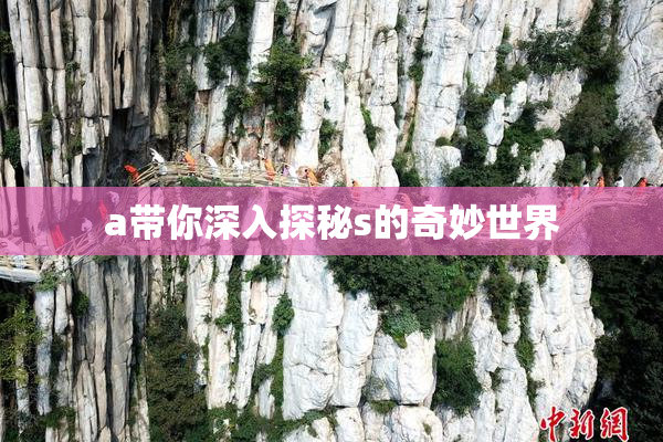 a带你深入探秘s的奇妙世界