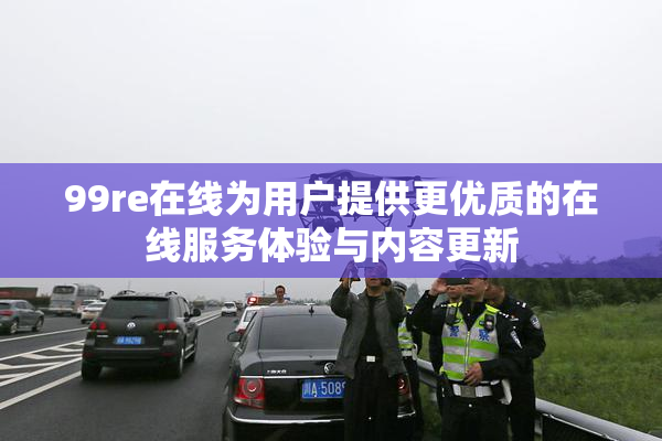 99re在线为用户提供更优质的在线服务体验与内容更新