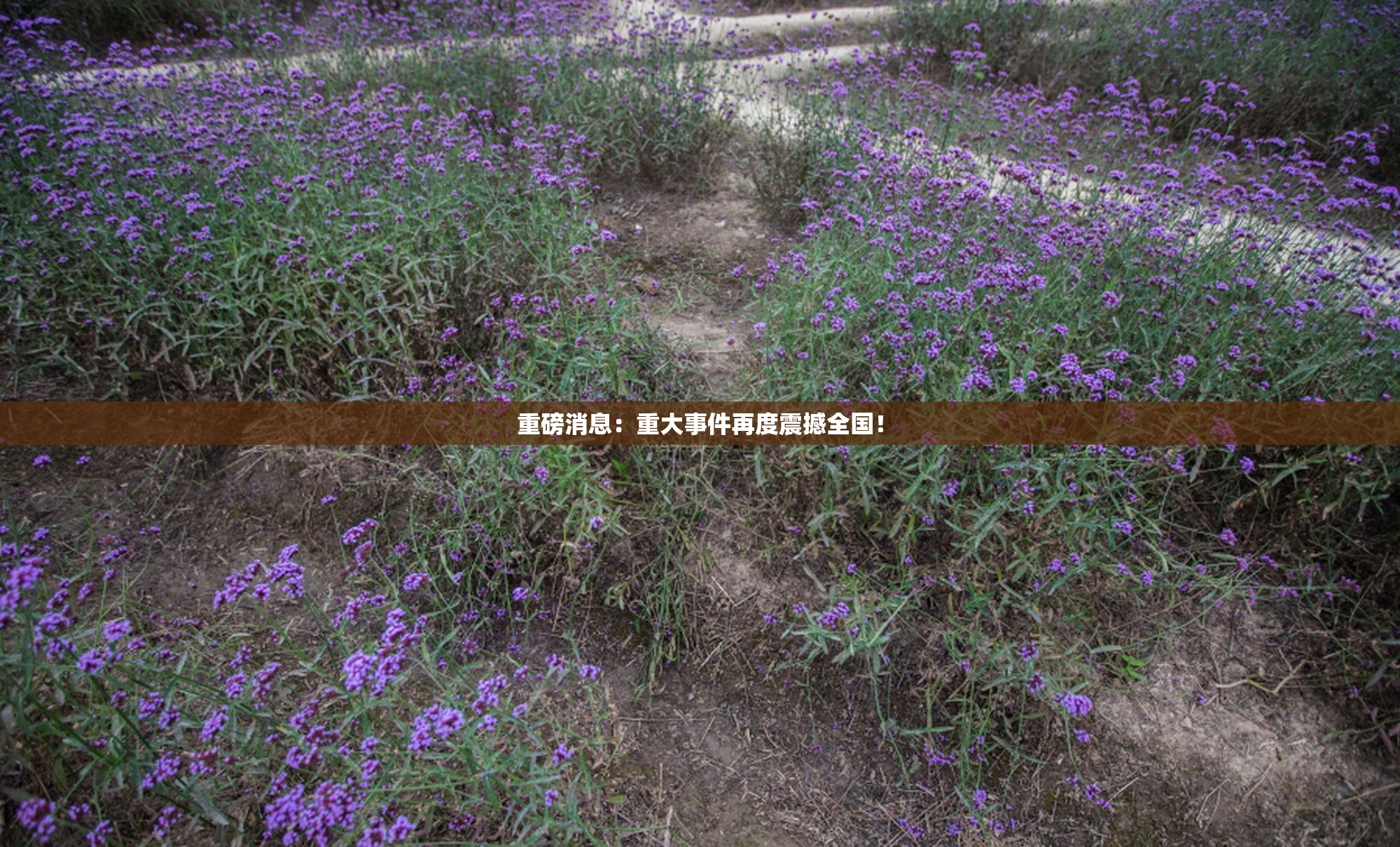 重磅消息：重大事件再度震撼全国！
