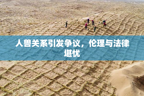 人兽关系引发争议，伦理与法律堪忧
