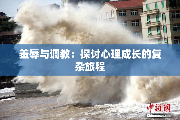 羞辱与调教：探讨心理成长的复杂旅程