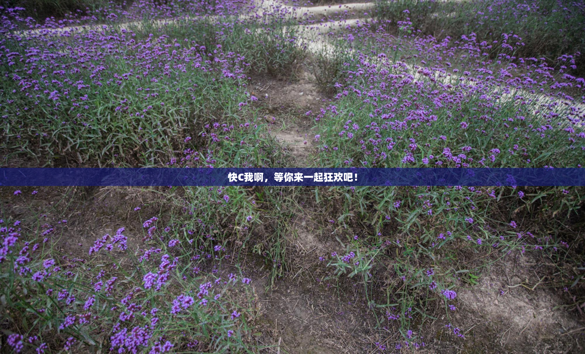 快C我啊，等你来一起狂欢吧！