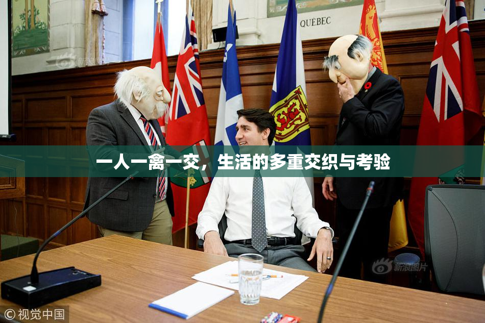 一人一禽一交，生活的多重交织与考验