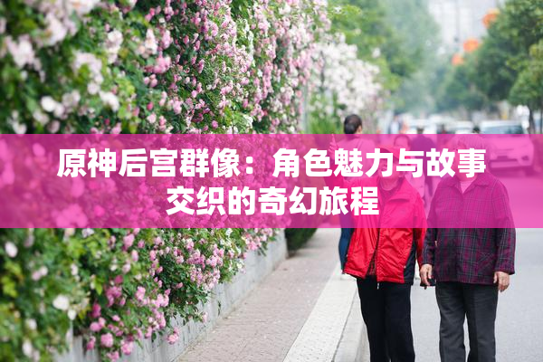 原神后宫群像：角色魅力与故事交织的奇幻旅程