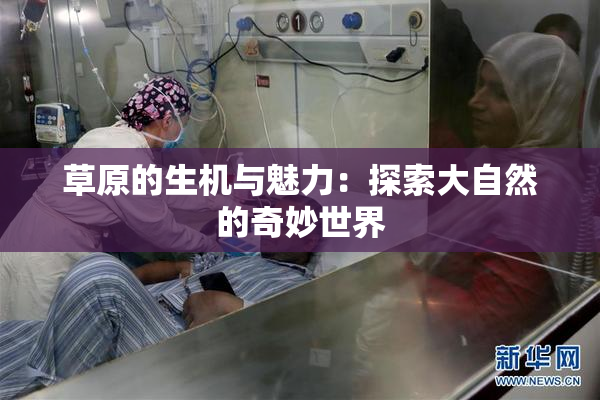 草原的生机与魅力：探索大自然的奇妙世界