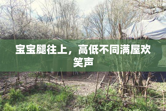 宝宝腿往上，高低不同满屋欢笑声