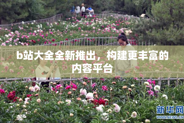 b站大全全新推出，构建更丰富的内容平台