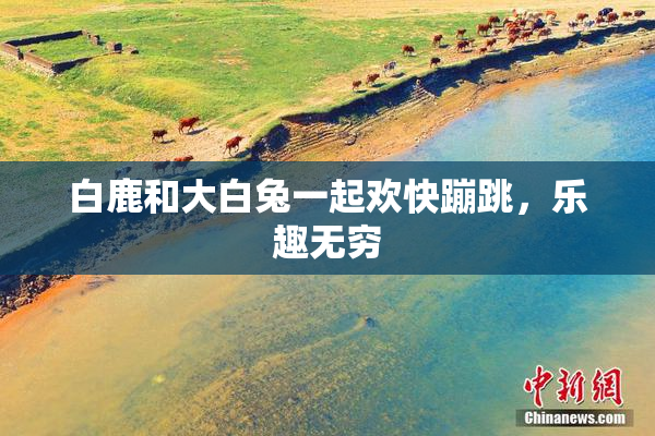 白鹿和大白兔一起欢快蹦跳，乐趣无穷