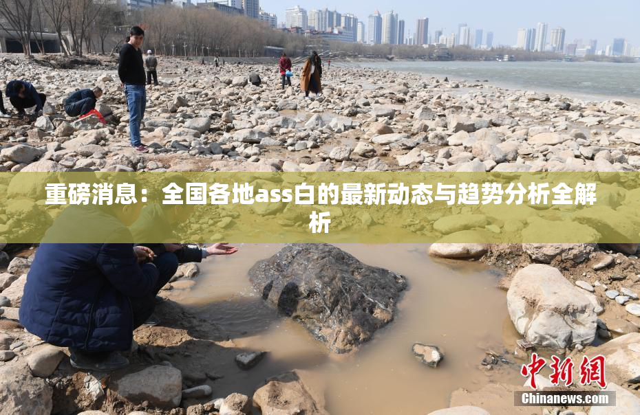 重磅消息：全国各地ass白的最新动态与趋势分析全解析