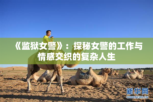《监狱女警》：探秘女警的工作与情感交织的复杂人生