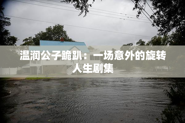 温润公子跪趴：一场意外的旋转人生剧集