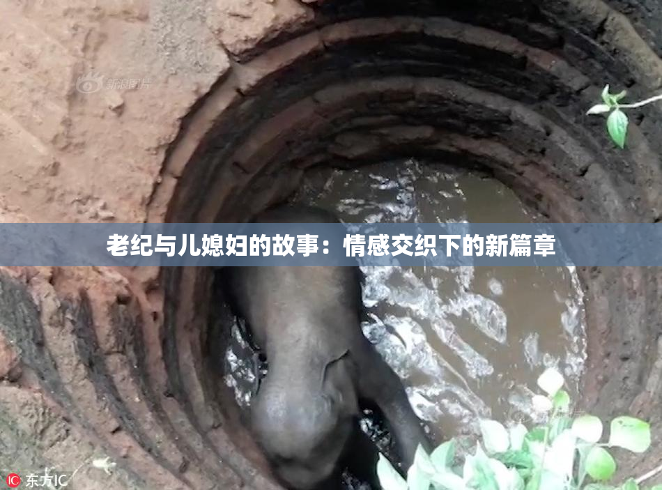 老纪与儿媳妇的故事：情感交织下的新篇章