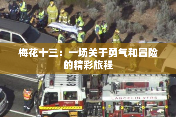 梅花十三：一场关于勇气和冒险的精彩旅程