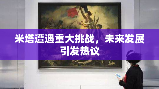 米塔遭遇重大挑战，未来发展引发热议