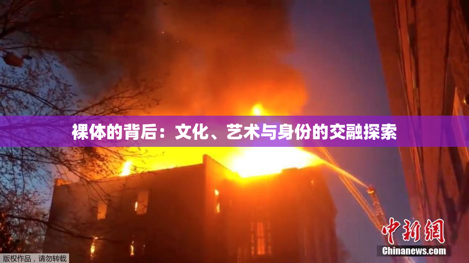 裸体的背后：文化、艺术与身份的交融探索