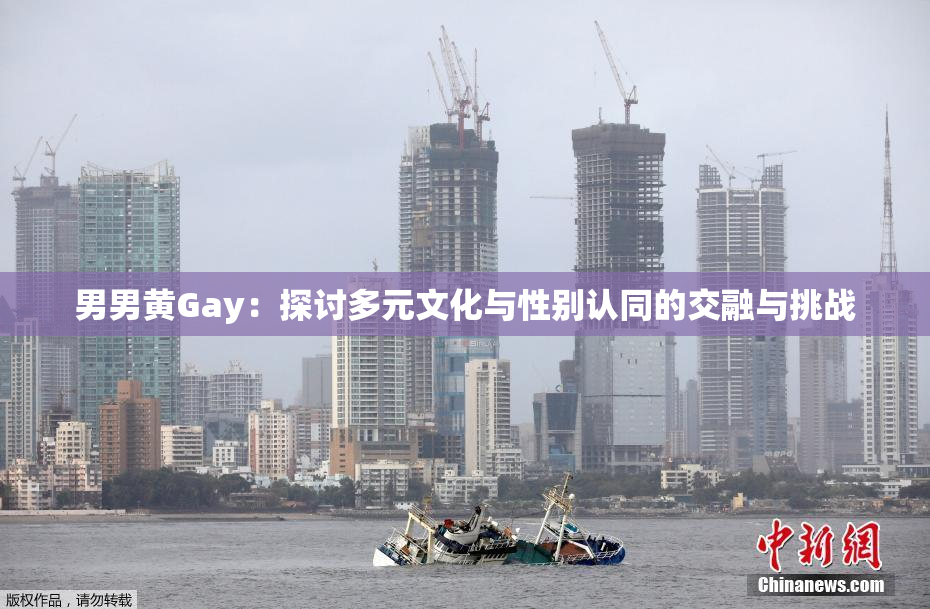 男男黄Gay：探讨多元文化与性别认同的交融与挑战