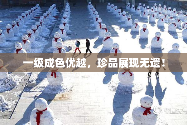 一级成色优越，珍品展现无遗！