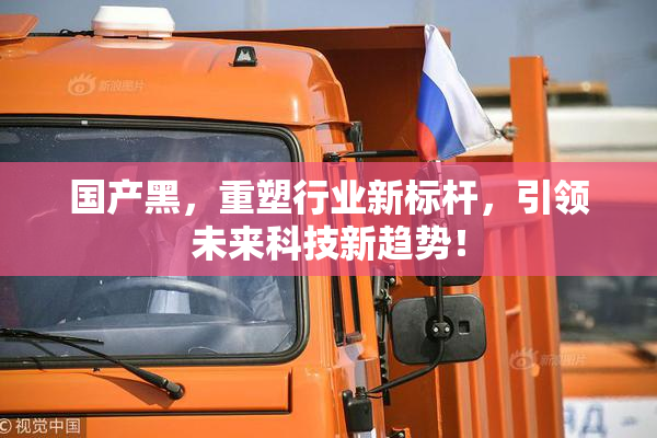 国产黑，重塑行业新标杆，引领未来科技新趋势！