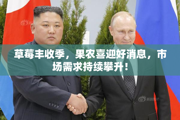 草莓丰收季，果农喜迎好消息，市场需求持续攀升！