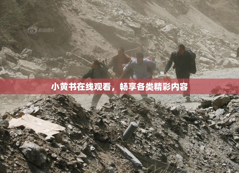 小黄书在线观看，畅享各类精彩内容