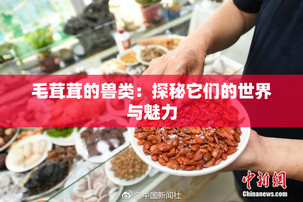 毛茸茸的兽类：探秘它们的世界与魅力
