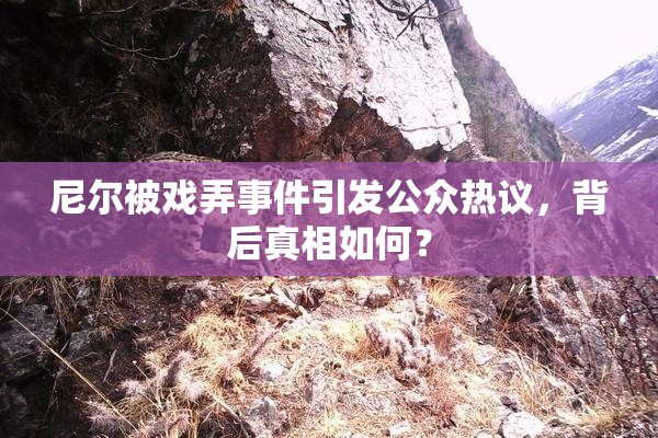 尼尔被戏弄事件引发公众热议，背后真相如何？