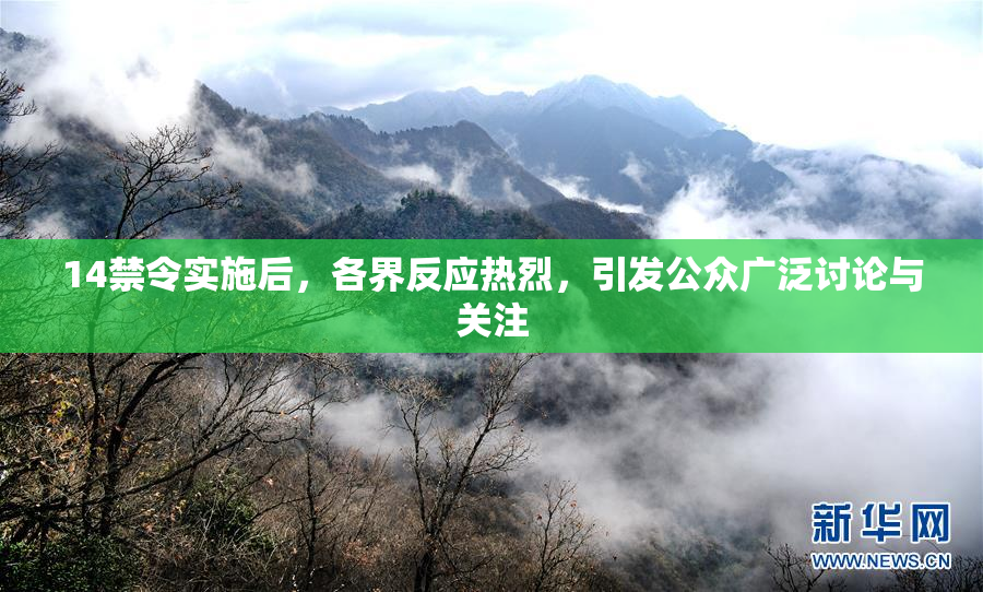14禁令实施后，各界反应热烈，引发公众广泛讨论与关注