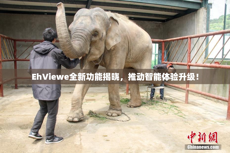 EhViewe全新功能揭晓，推动智能体验升级！