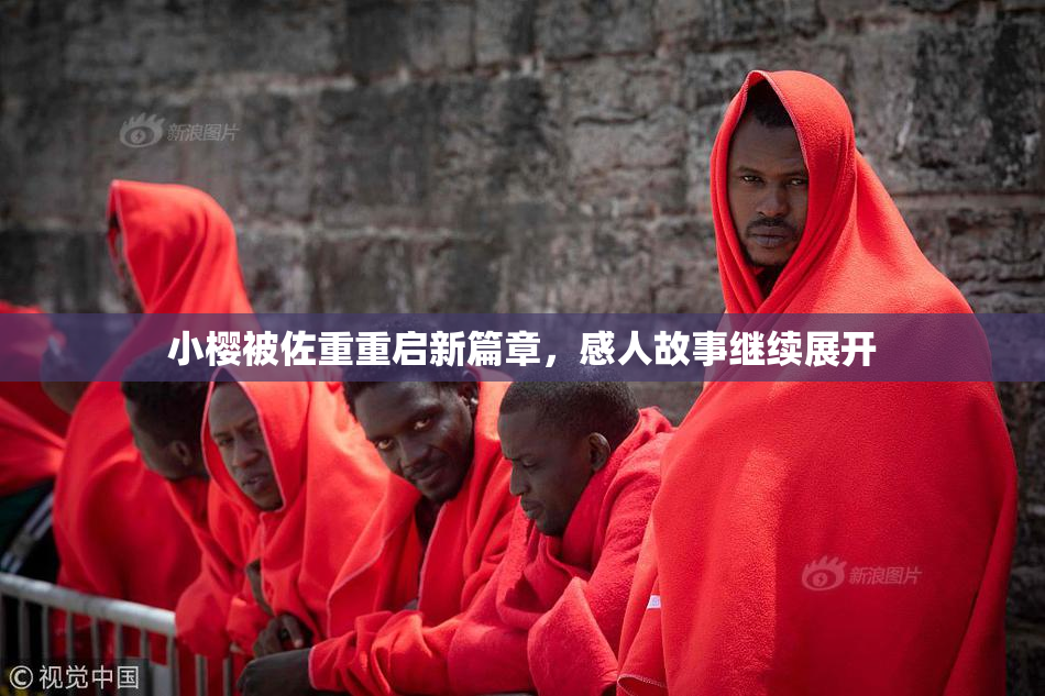 小樱被佐重重启新篇章，感人故事继续展开
