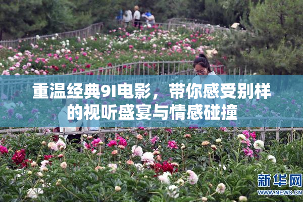 重温经典9I电影，带你感受别样的视听盛宴与情感碰撞