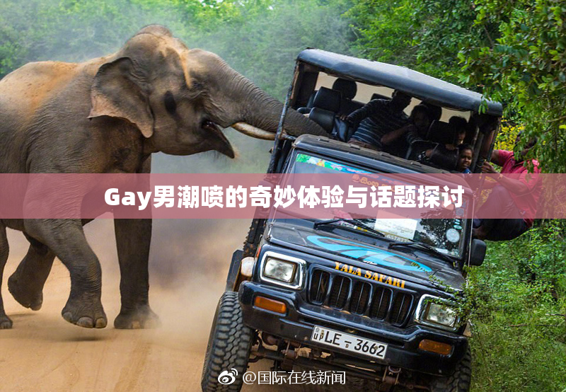 Gay男潮喷的奇妙体验与话题探讨